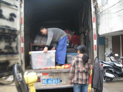 供應(yīng) 東四環(huán)搬家拉貨 東四環(huán)搬家價(jià)格便宜 兄弟順心搬家 豐臺區(qū) 星宇泉制造網(wǎng)