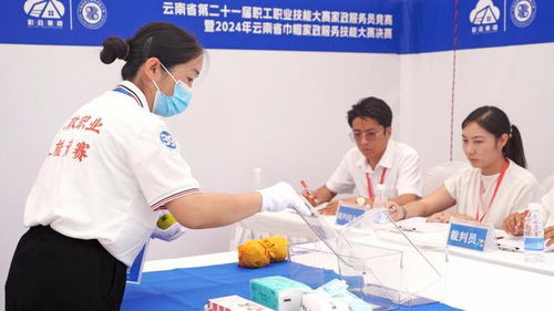 云南省家政服務技能大賽暨家政進社區推廣示范活動啟動