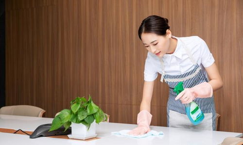 帶上家人,來香蜜小鎮安穩避世,白天游山玩水,夜晚住進山水里